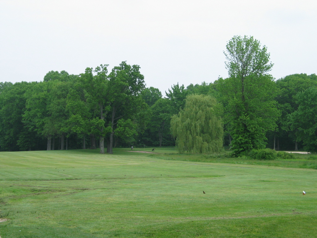 306-0601_IMG.JPG